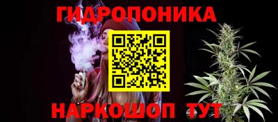 индика Кумертау
