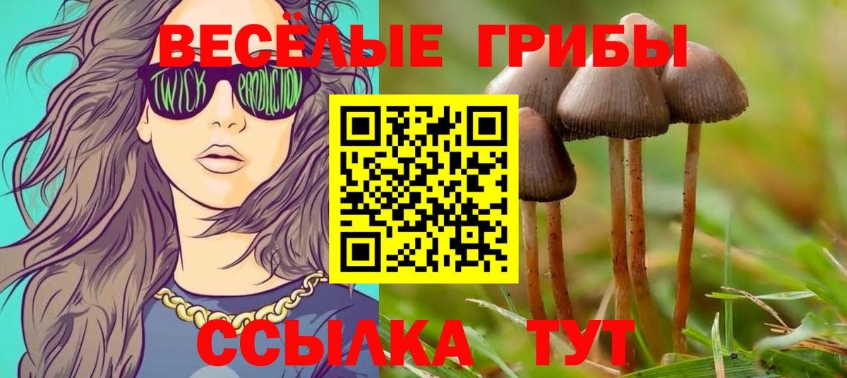 Знаменск  Галлюциногенные грибы GOLDEN TEACHER  Вход с VPN 